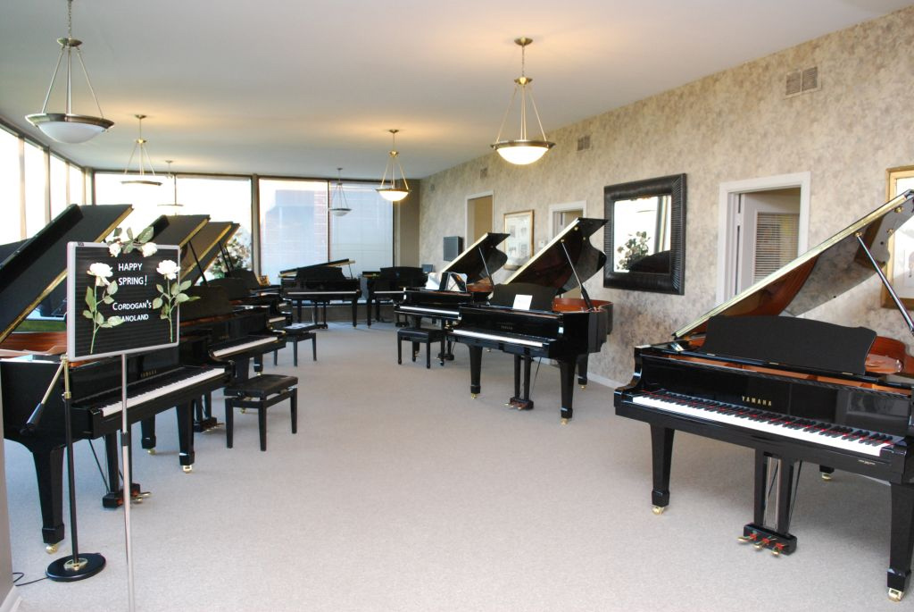 mua bán đàn piano giá rẻ hải phòng