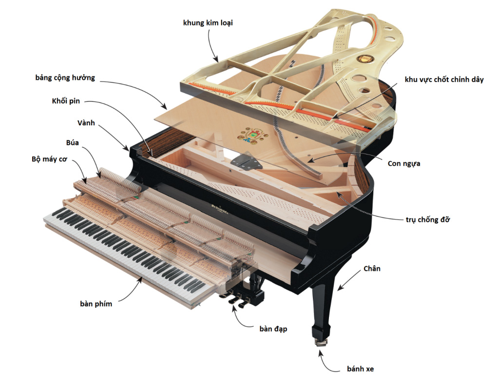 cấu tạo đàn piano cơ