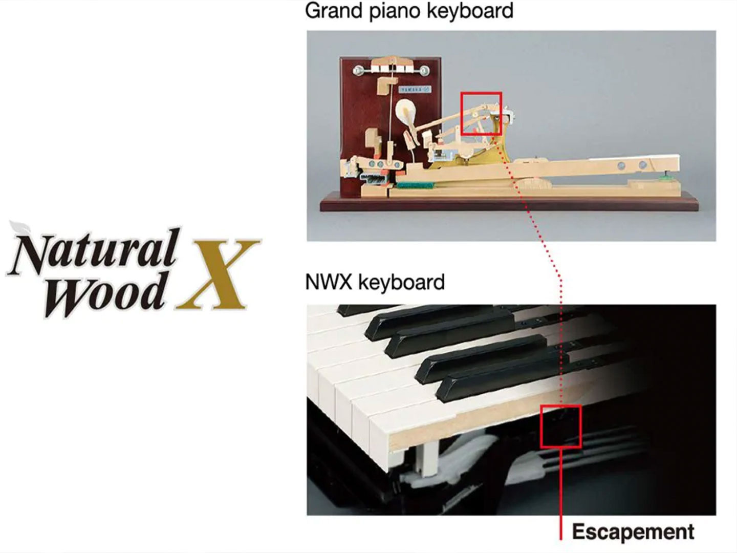 cấu tạo đàn piano điện