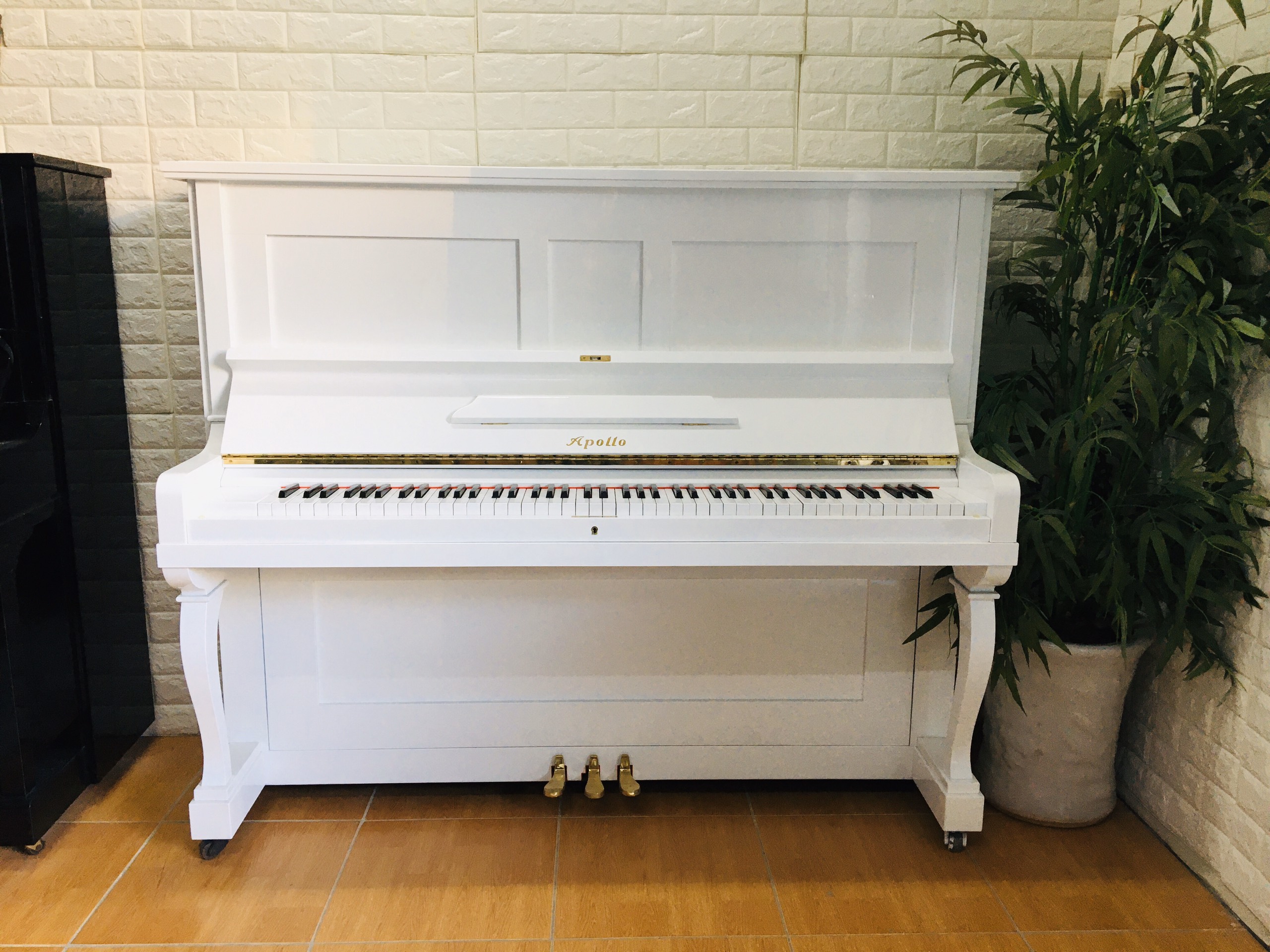 piano cơ apollo hải phòng