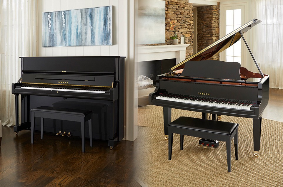 đàn piano hải phòng