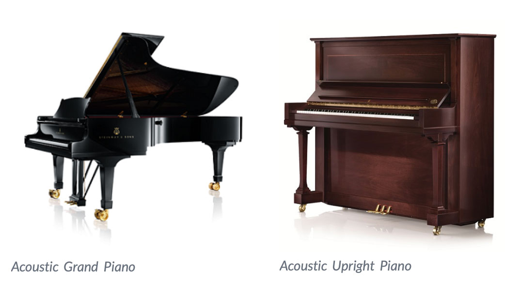 piano hải phòng