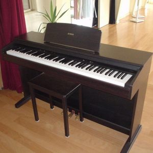 đàn piano hải phòng