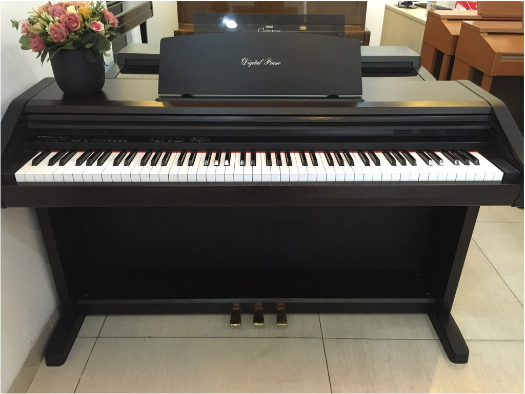 đàn piano hải phòng