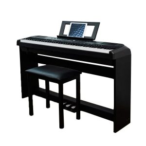đàn piano apollo hải phòng