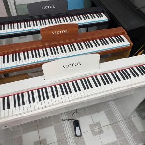 Đàn Piano Điện Victor VT02 tại Hải Phòng Giá Rẻ Chính Hãng